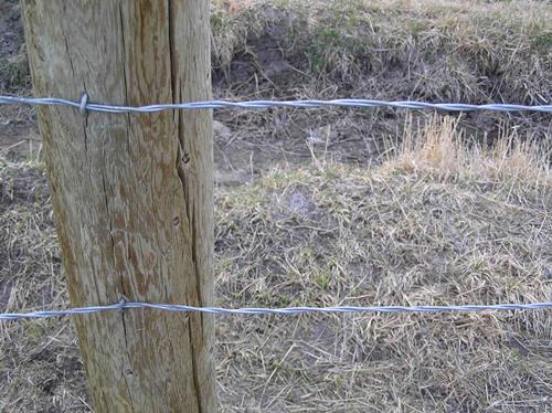Choosing The Right Agricultural Fencing 2